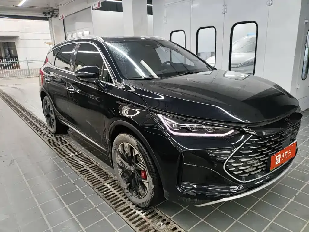 BYD Tang New Energy 2024 из CN, фото 3