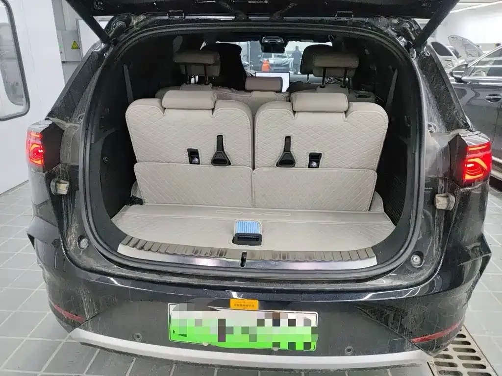BYD Tang New Energy 2024 из CN, фото 7