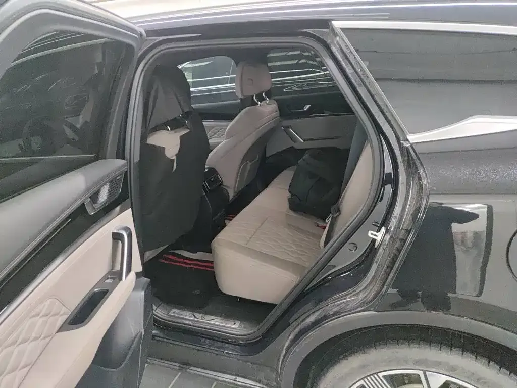 BYD Tang New Energy 2024 из CN, фото 5