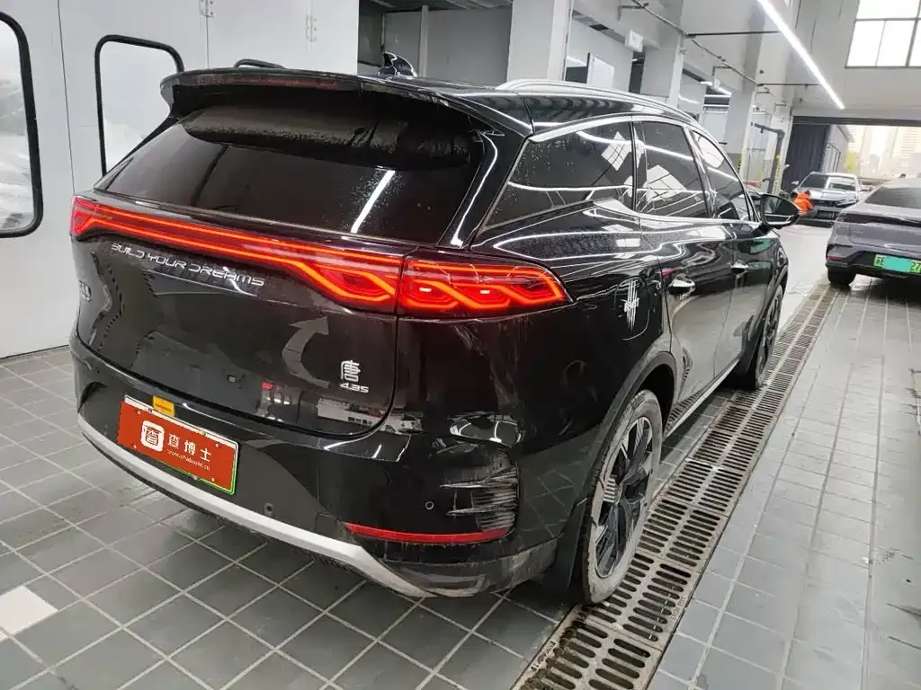 BYD Tang New Energy 2024 из CN, фото 4