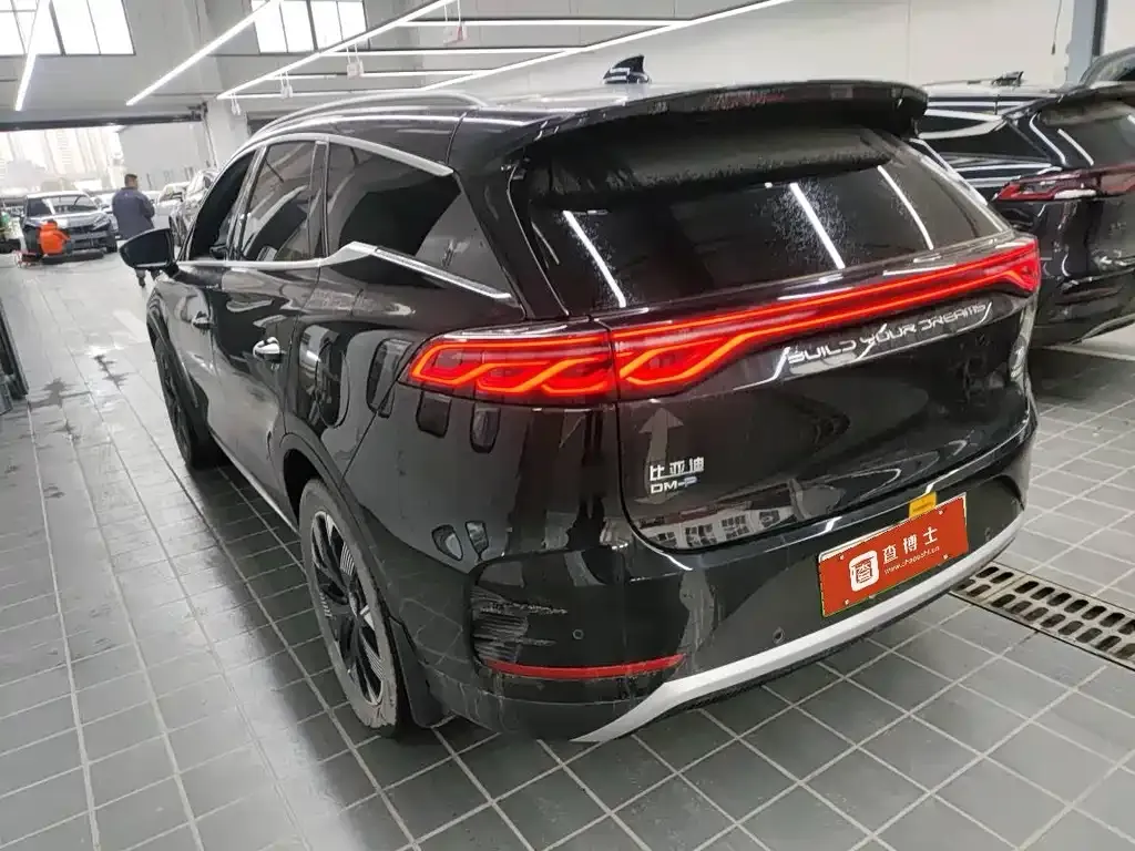 BYD Tang New Energy 2024 из CN, фото 9