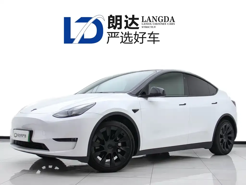 Tesla Model Y 2021 из CN, фото 1