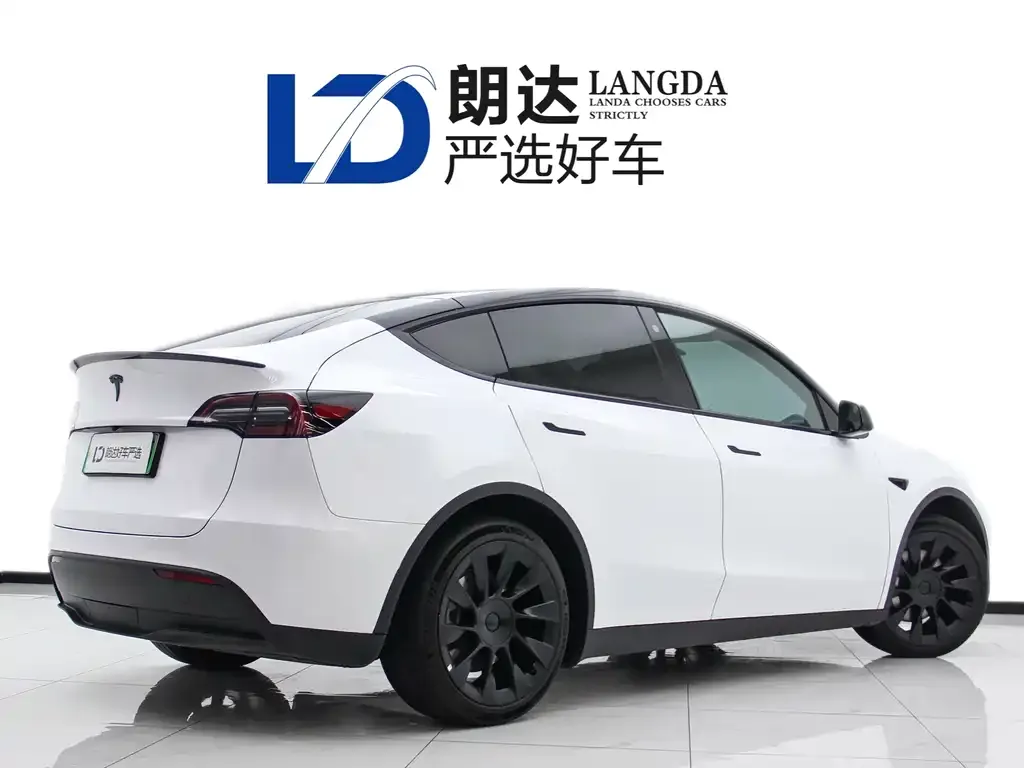 Tesla Model Y 2021 из CN, фото 5