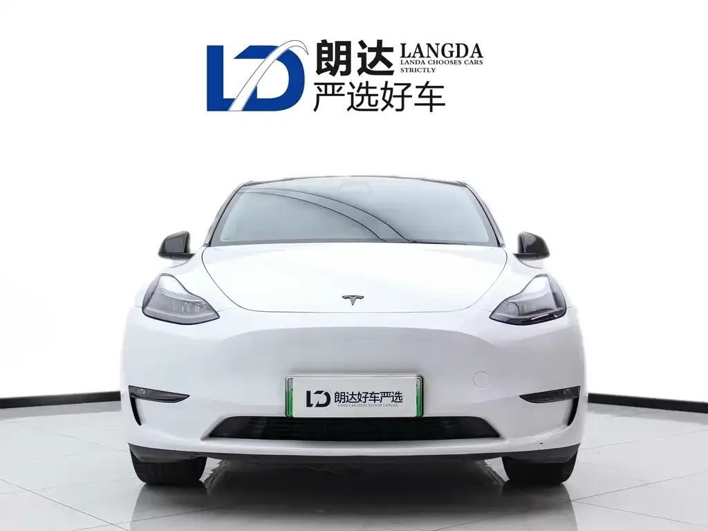 Tesla Model Y 2021 из CN, фото 6