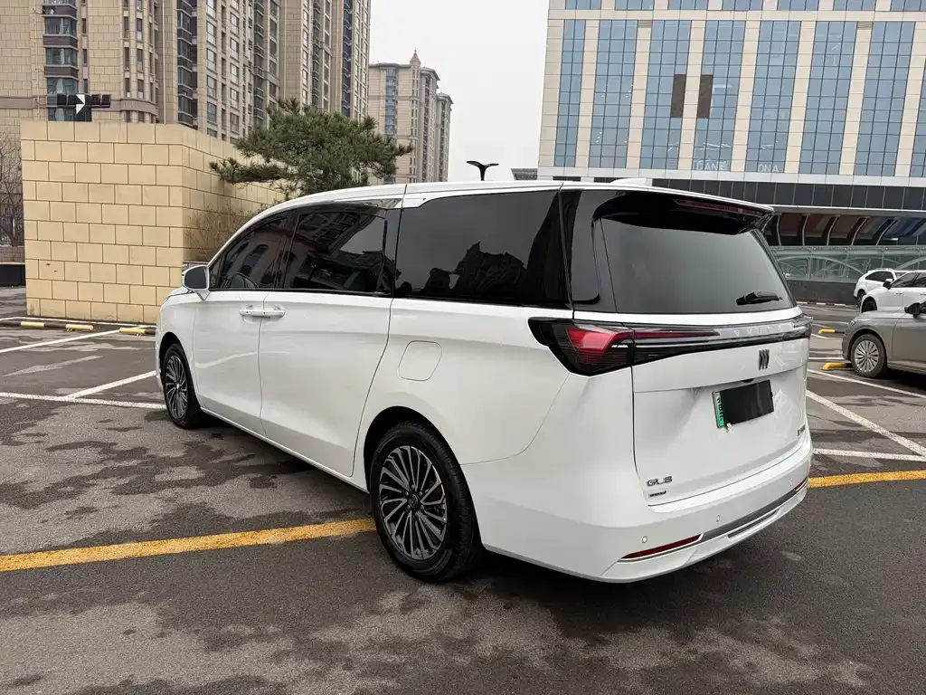 Buick GL8 Hybrid — фото 6