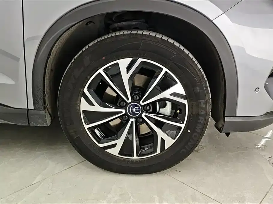 BYD Pro New Energy — фото 4