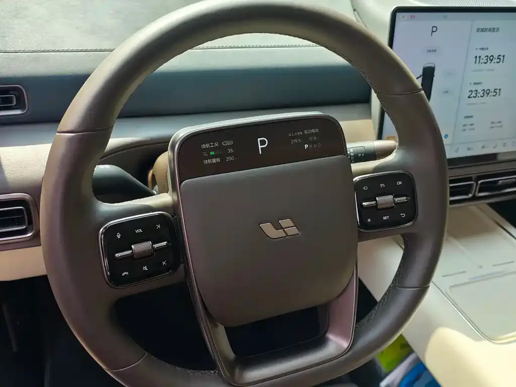 Li Auto Li MEGA 2025 из CN, фото 9