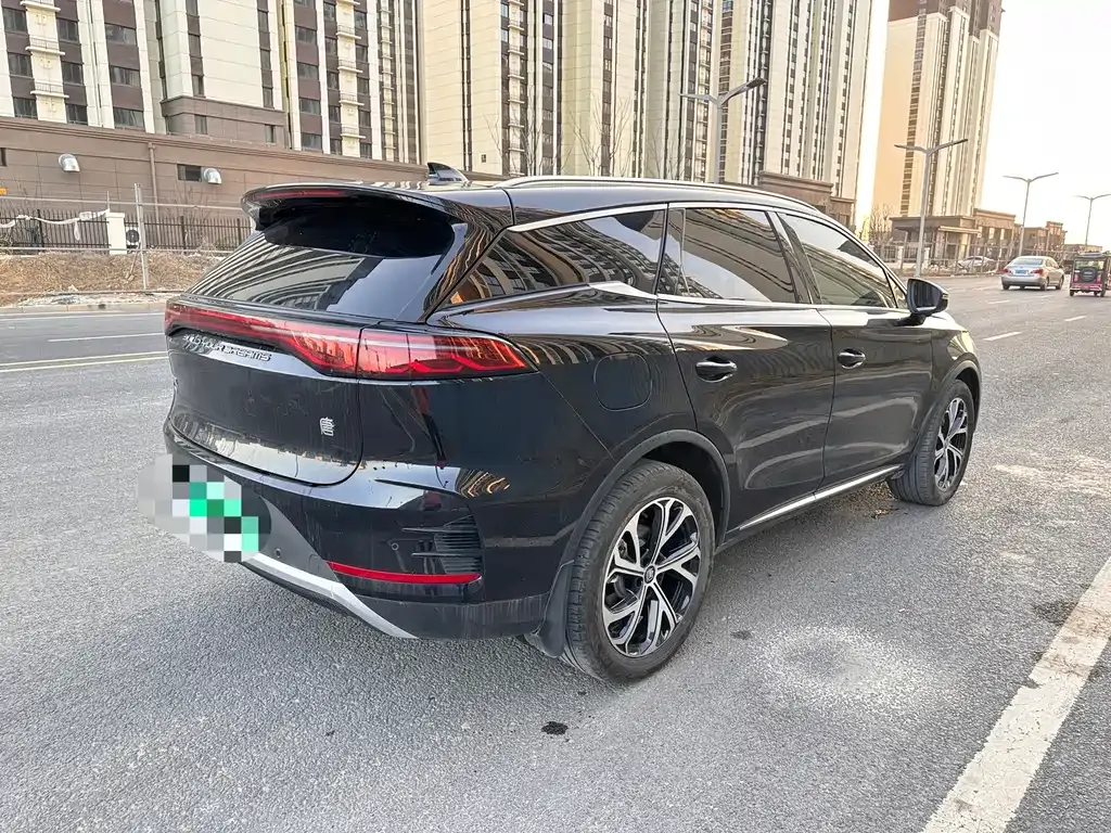 BYD Tang New Energy 2025 из CN, фото 9