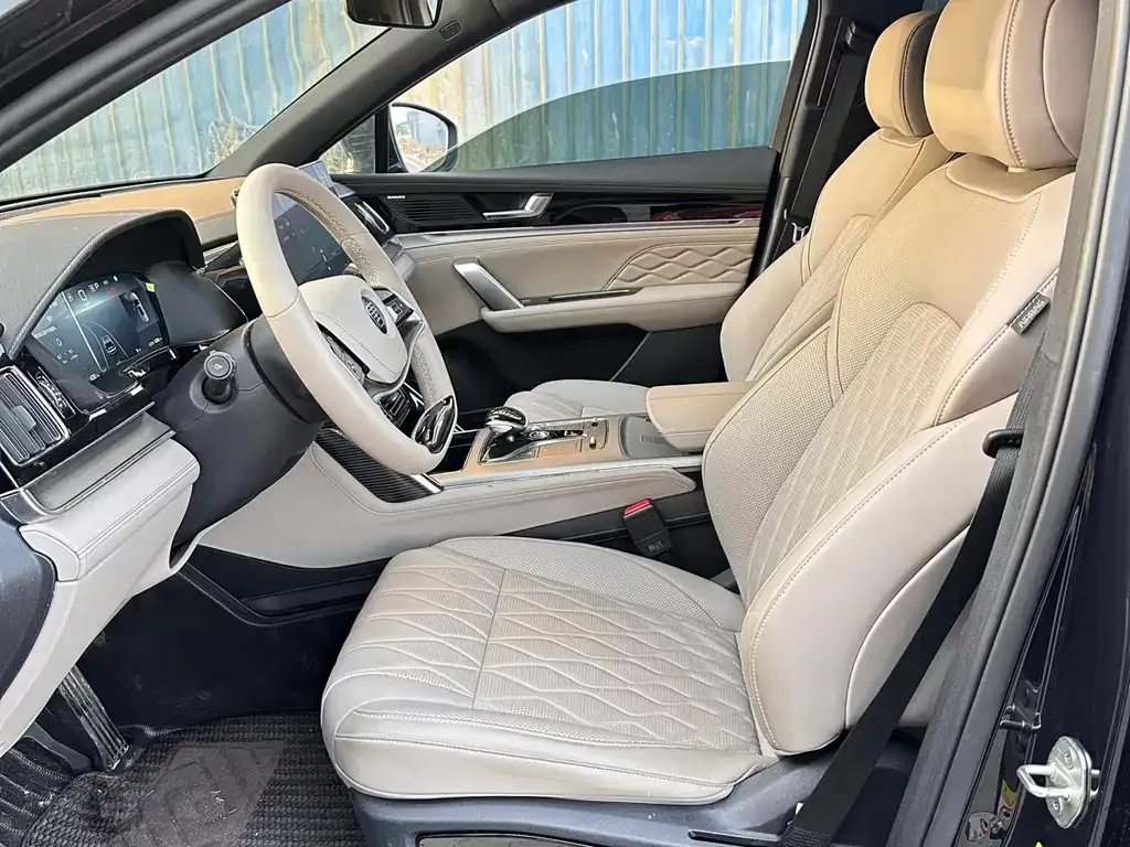 BYD Tang New Energy 2025 из CN, фото 6