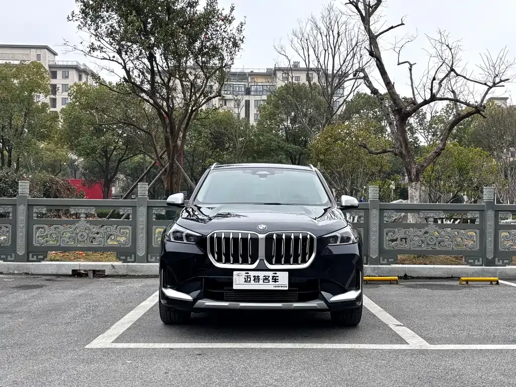 BMW X1 2024 из CN, фото 10