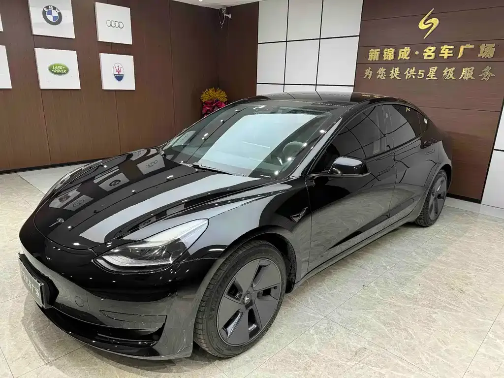 Tesla Model 3 2021 из CN, фото 1