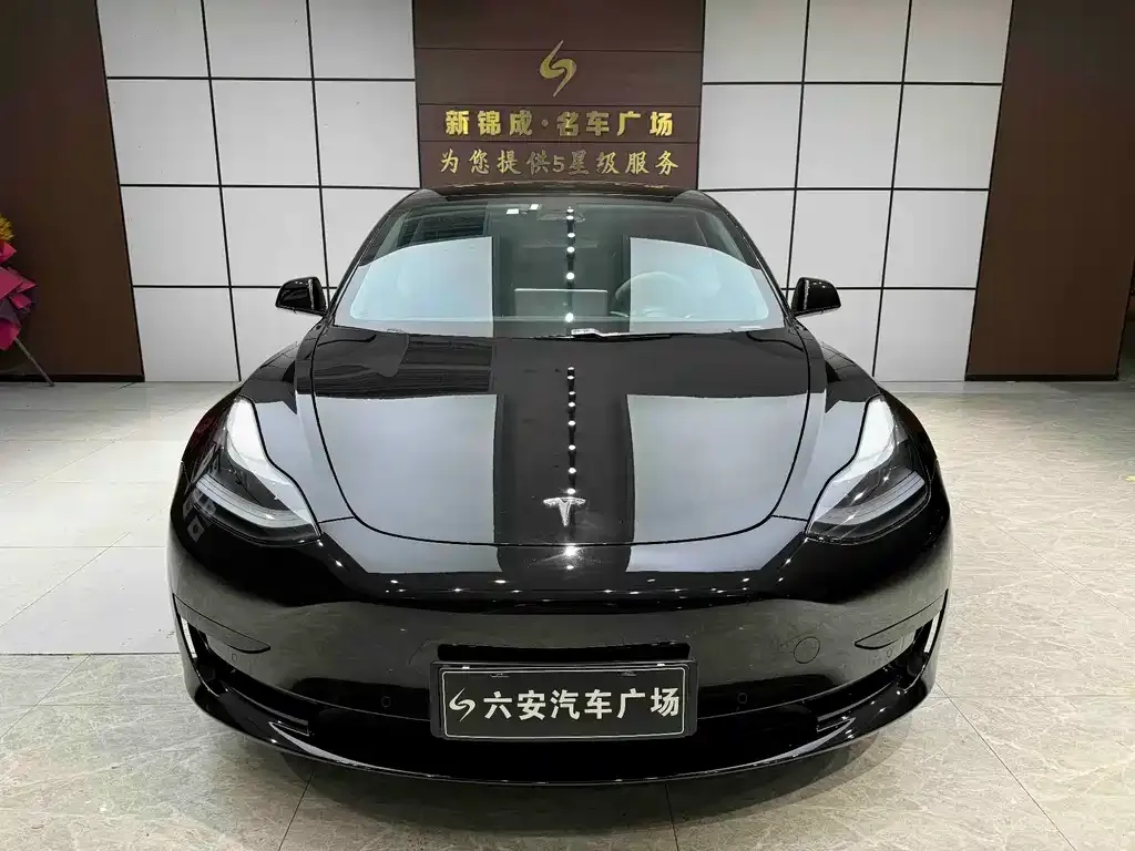 Tesla Model 3 2021 из CN, фото 3