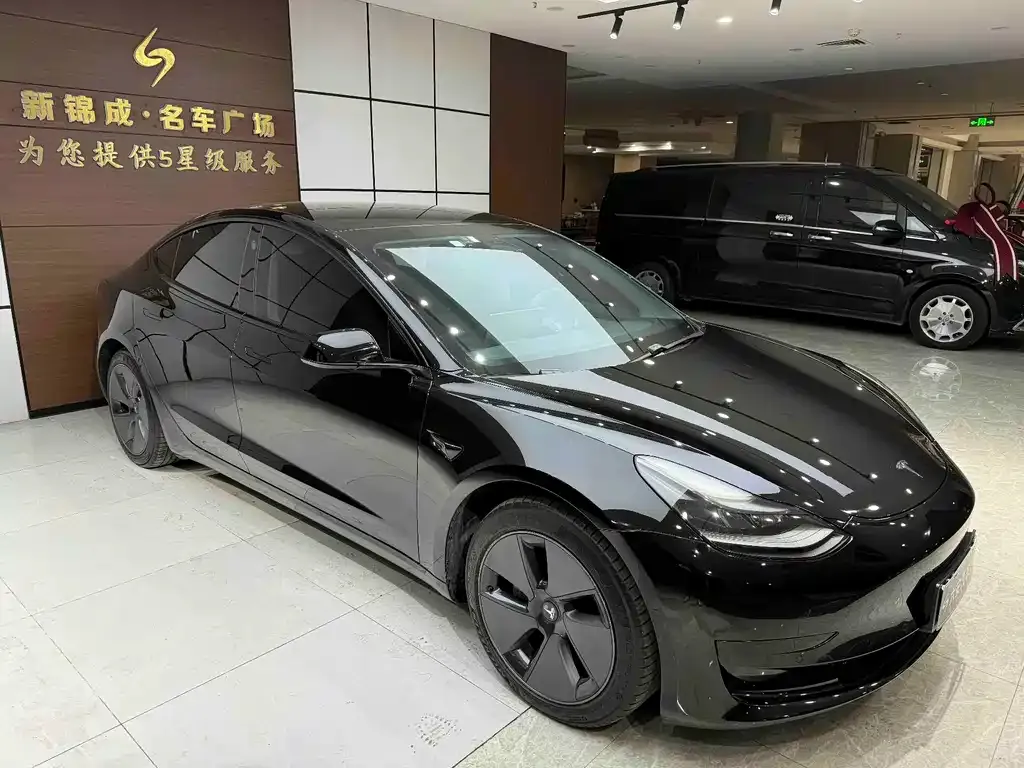 Tesla Model 3 2021 из CN, фото 6