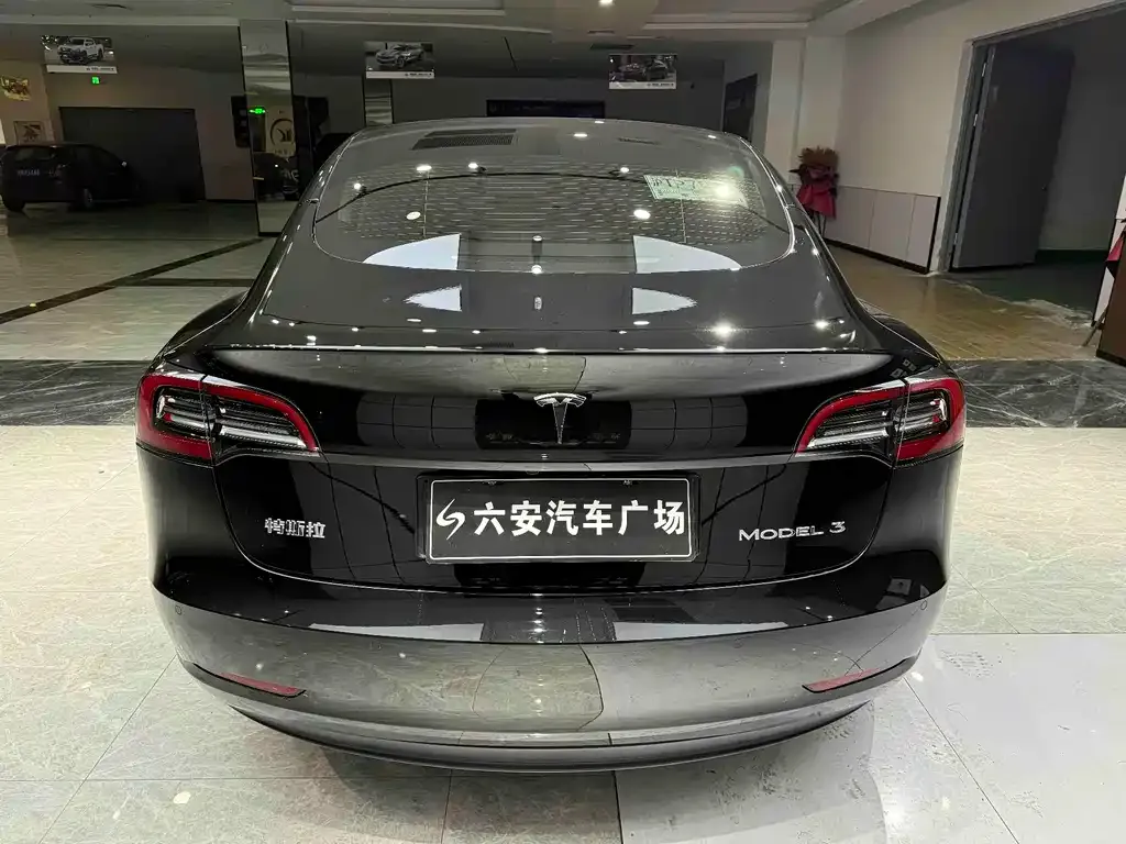 Tesla Model 3 2021 из CN, фото 7