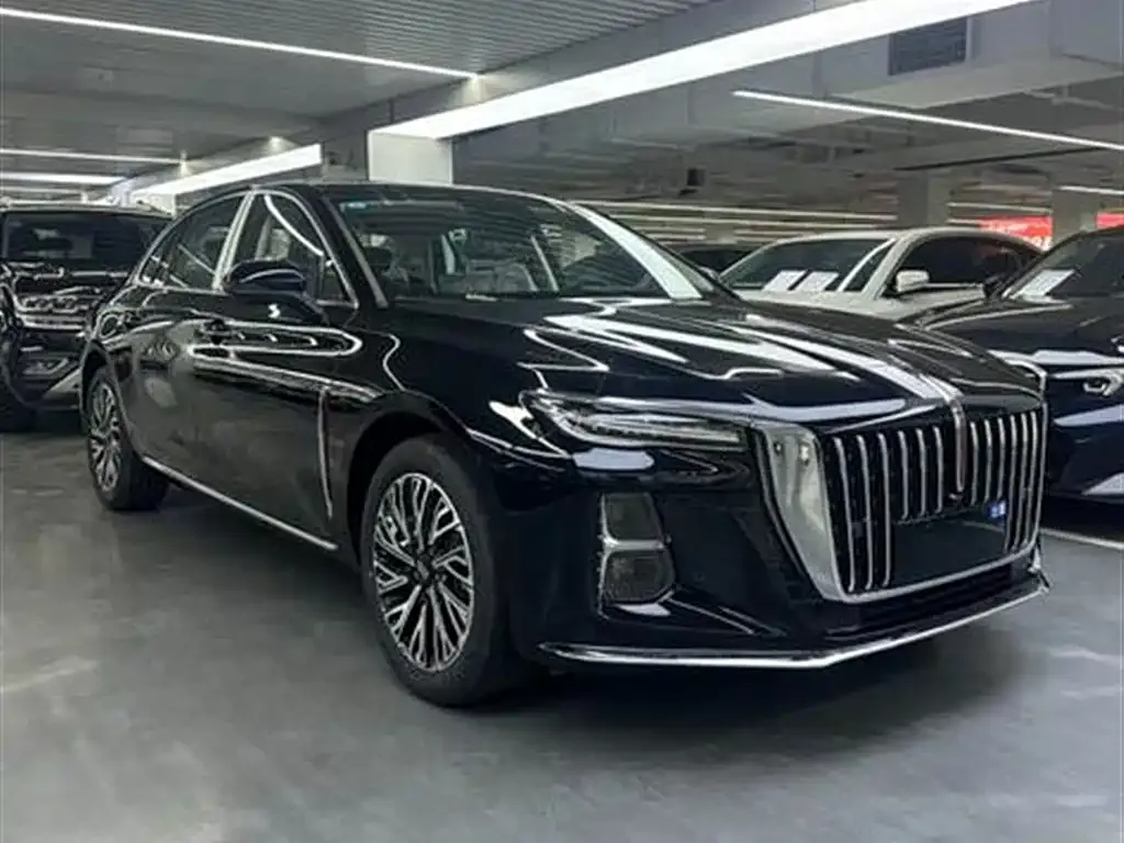 Hongqi H5 2023 из CN, фото 2