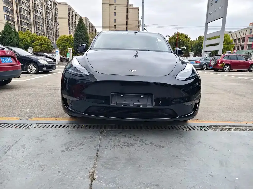 Tesla Model Y — фото 9