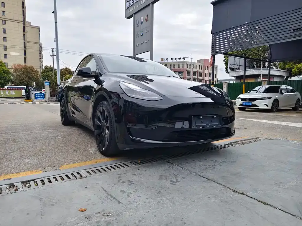 Tesla Model Y — фото 6