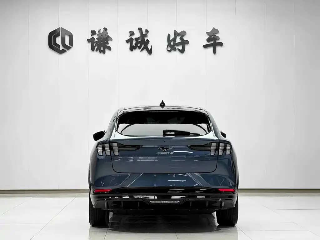 Ford Mustang Mach-E — фото 3