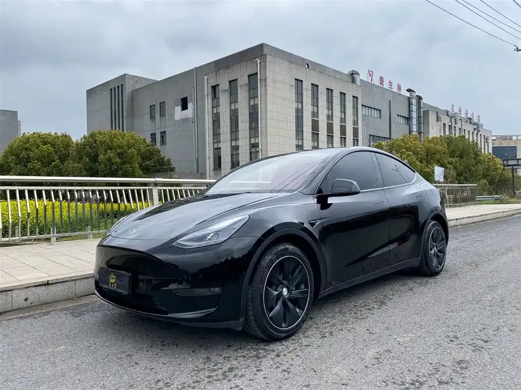 Tesla Model Y — фото 1