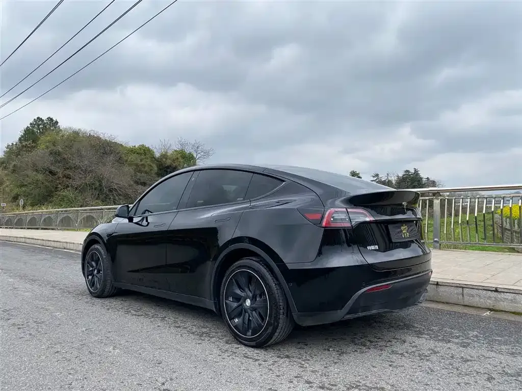 Tesla Model Y — фото 7