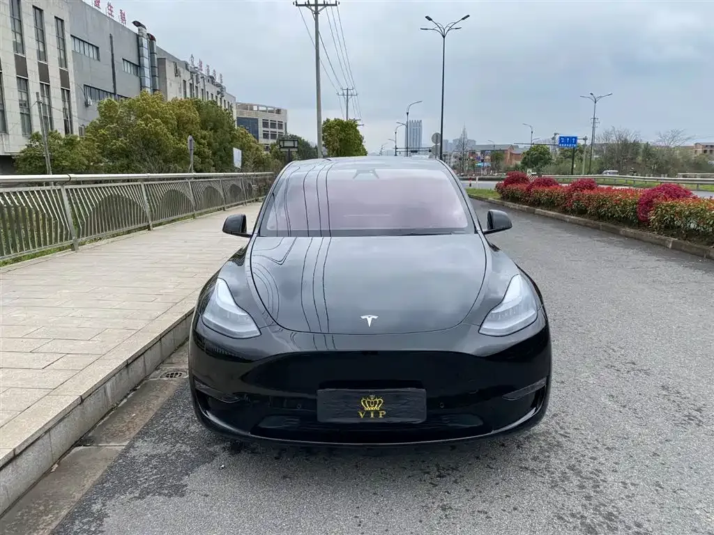 Tesla Model Y — фото 5
