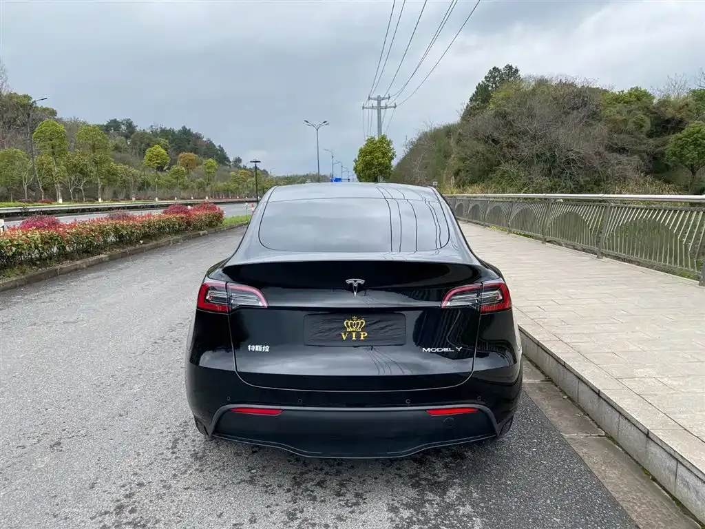Tesla Model Y — фото 8