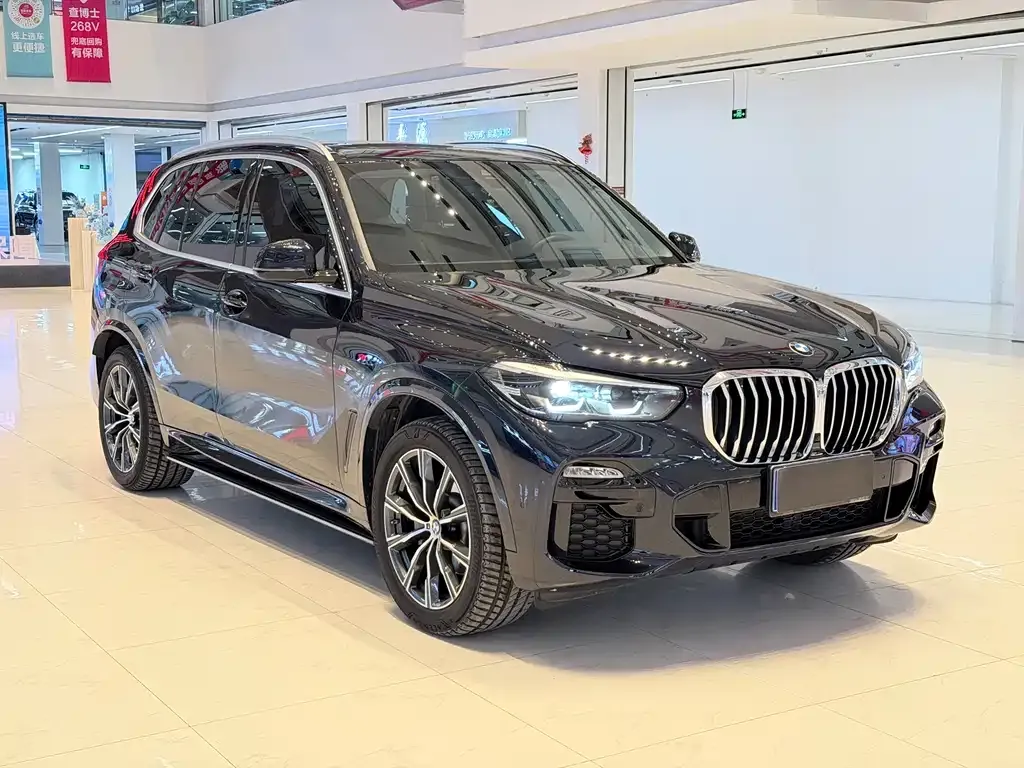 BMW X5 (Import) 2021 из CN, фото 10
