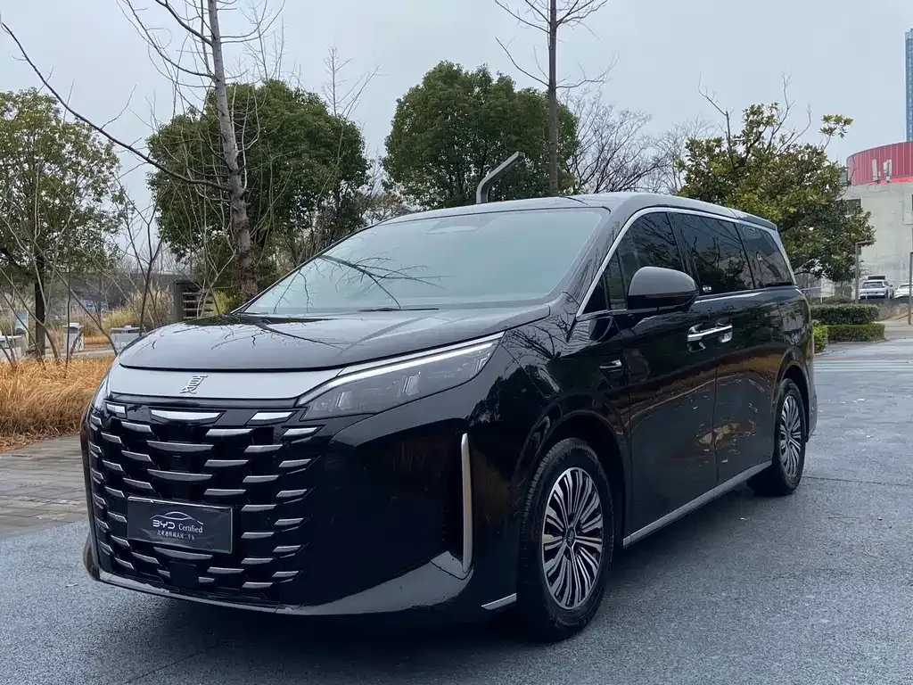 BYD Xia 2025 из CN, фото 1