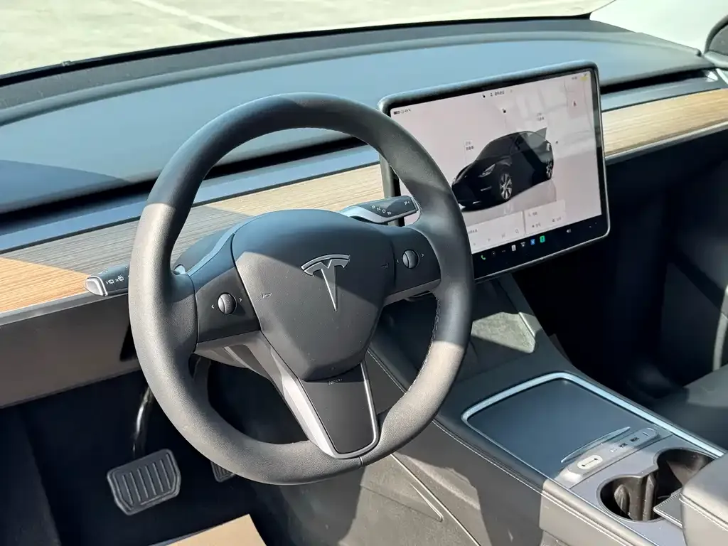 Tesla Model Y — фото 8