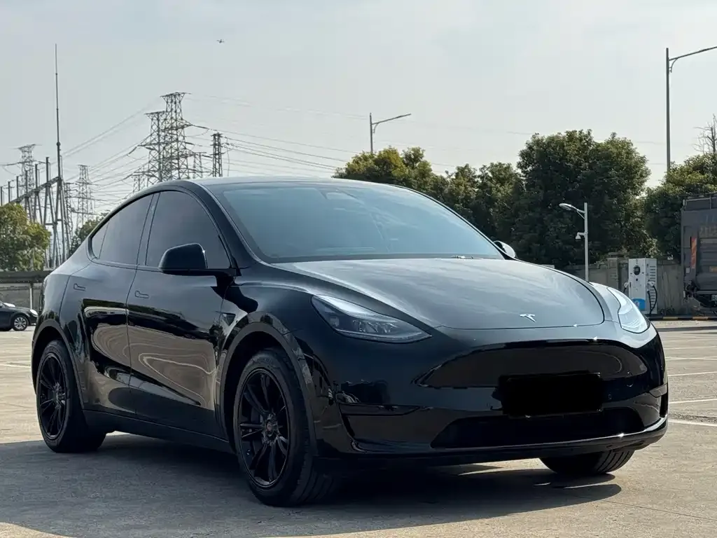 Tesla Model Y — фото 7