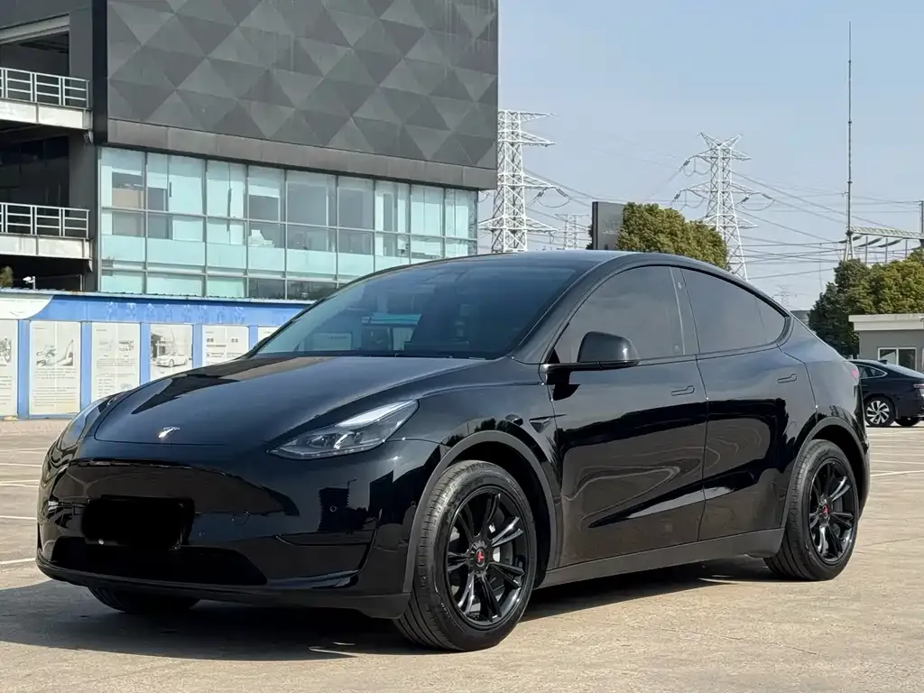 Tesla Model Y — фото 6