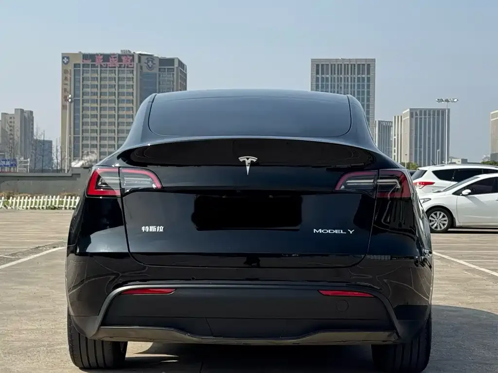 Tesla Model Y — фото 2
