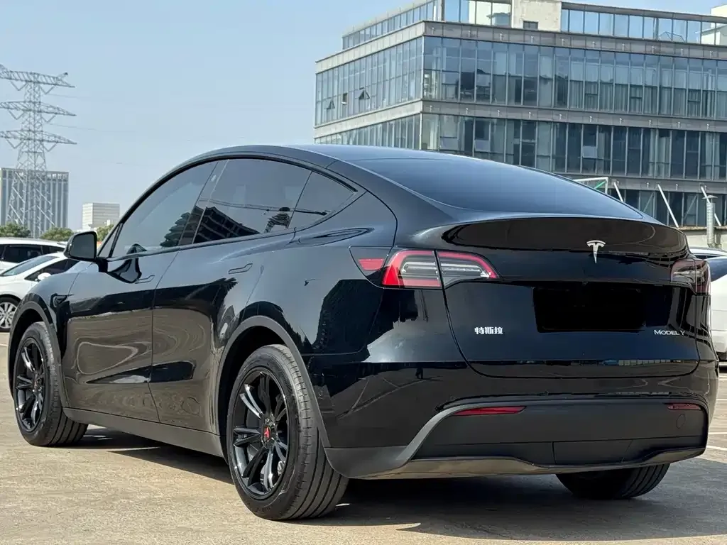 Tesla Model Y — фото 5