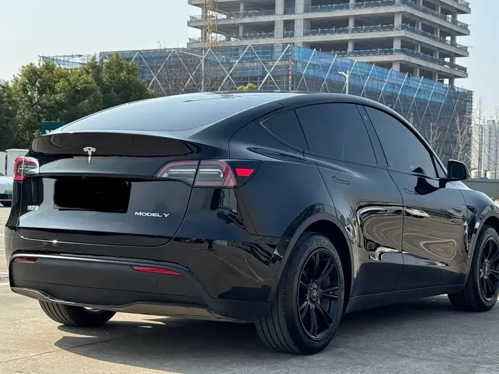Tesla Model Y — фото 10