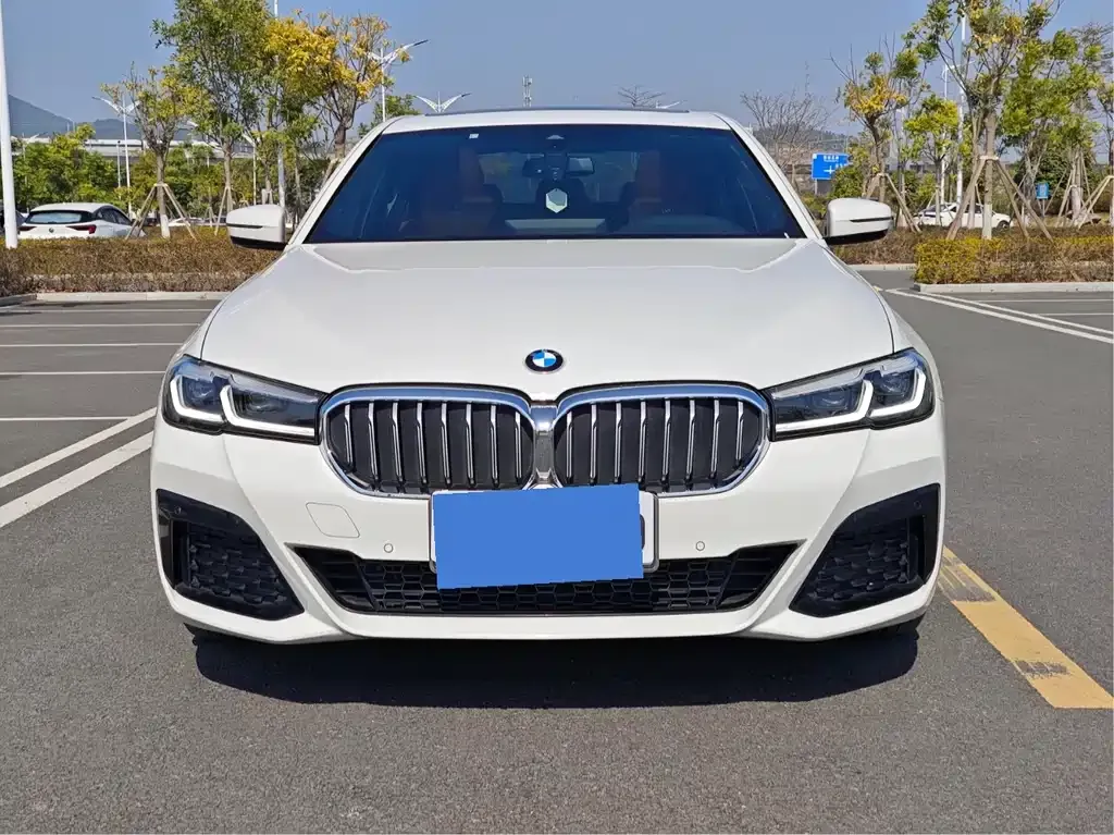 BMW 5 Series (Import) — фото 9
