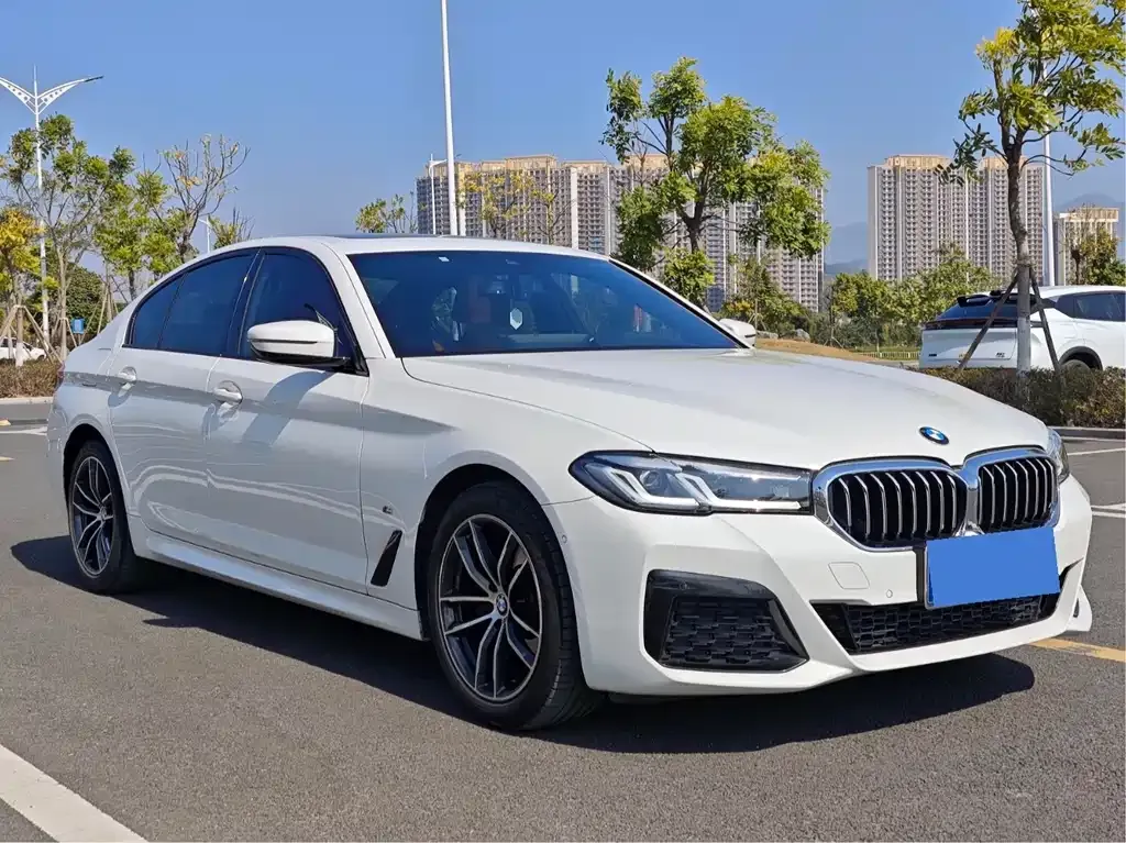 BMW 5 Series (Import) — фото 7
