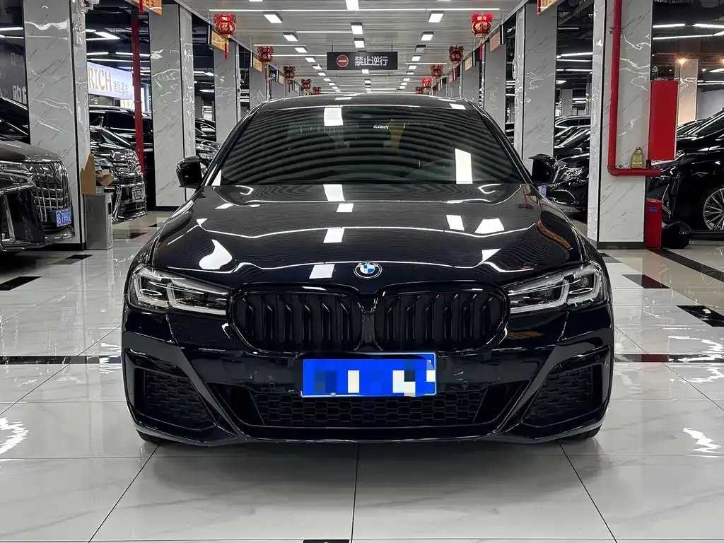 BMW 5 Series 2022 из CN, фото 2