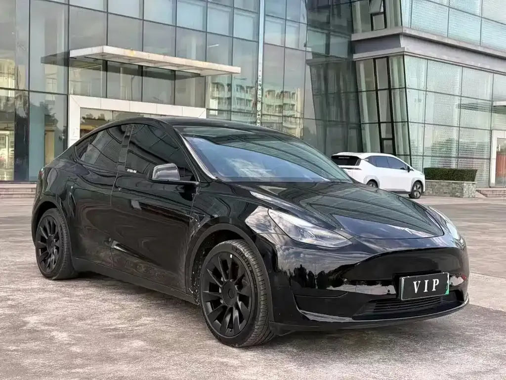 Tesla Model Y — фото 6