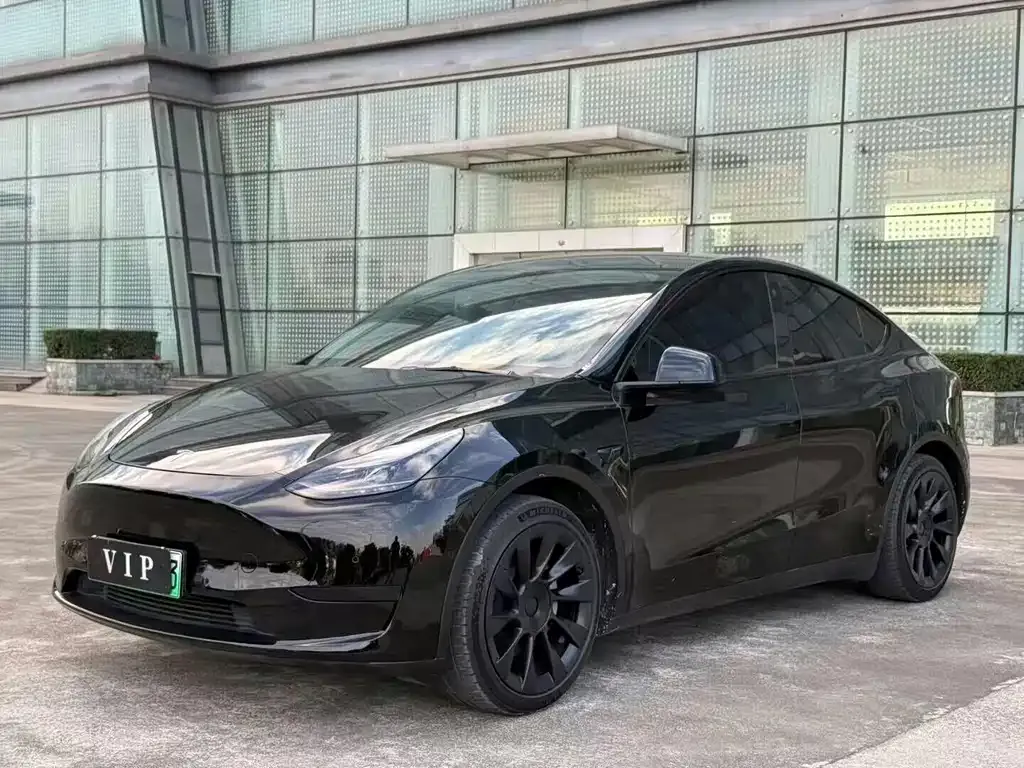 Tesla Model Y — фото 4