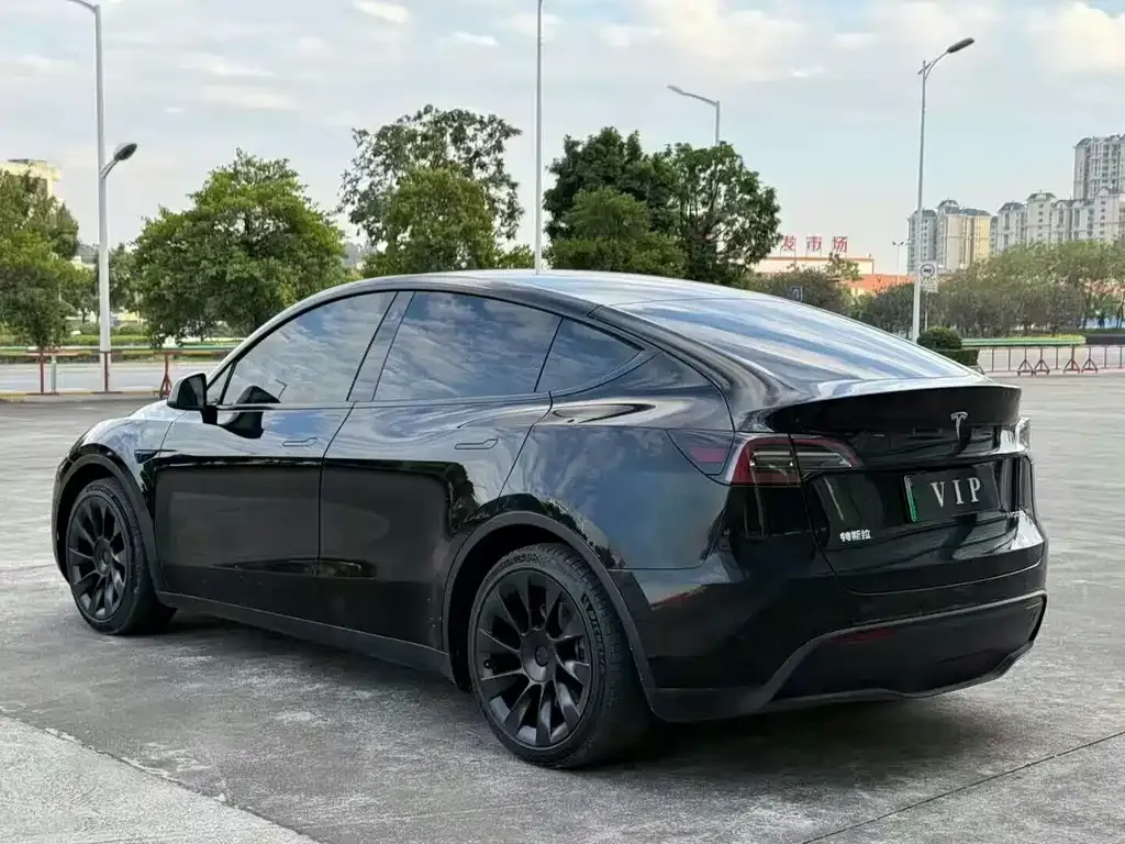 Tesla Model Y — фото 9