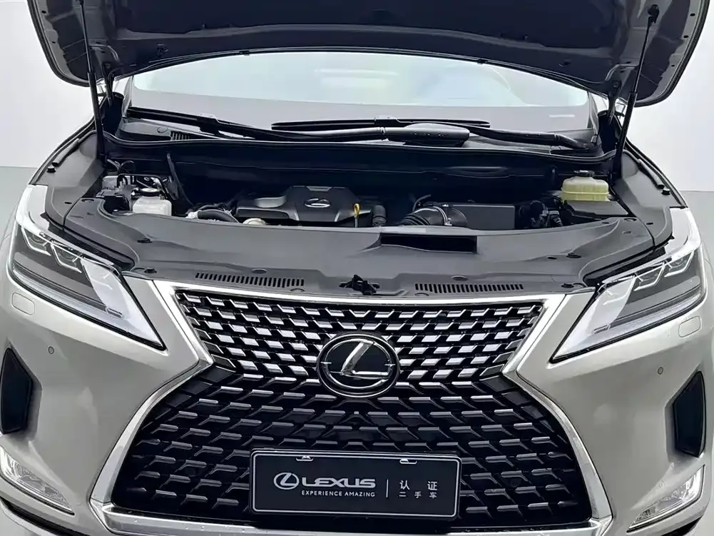 Lexus RX — фото 10