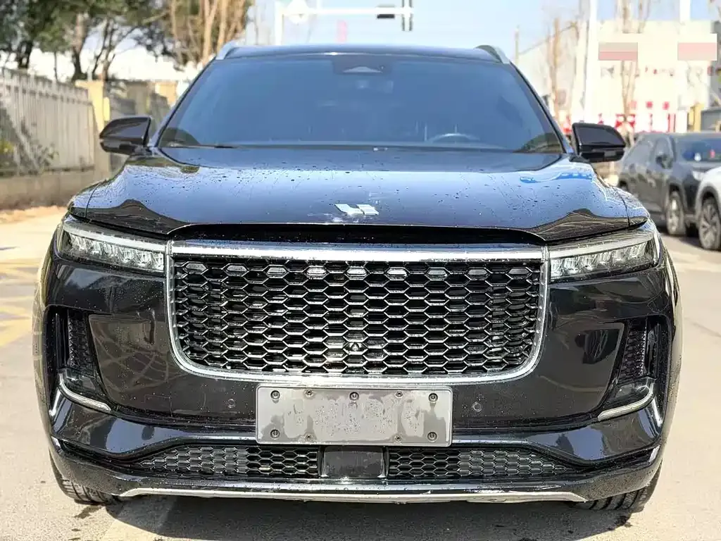 Li Auto Li ONE 2021 из CN, фото 8