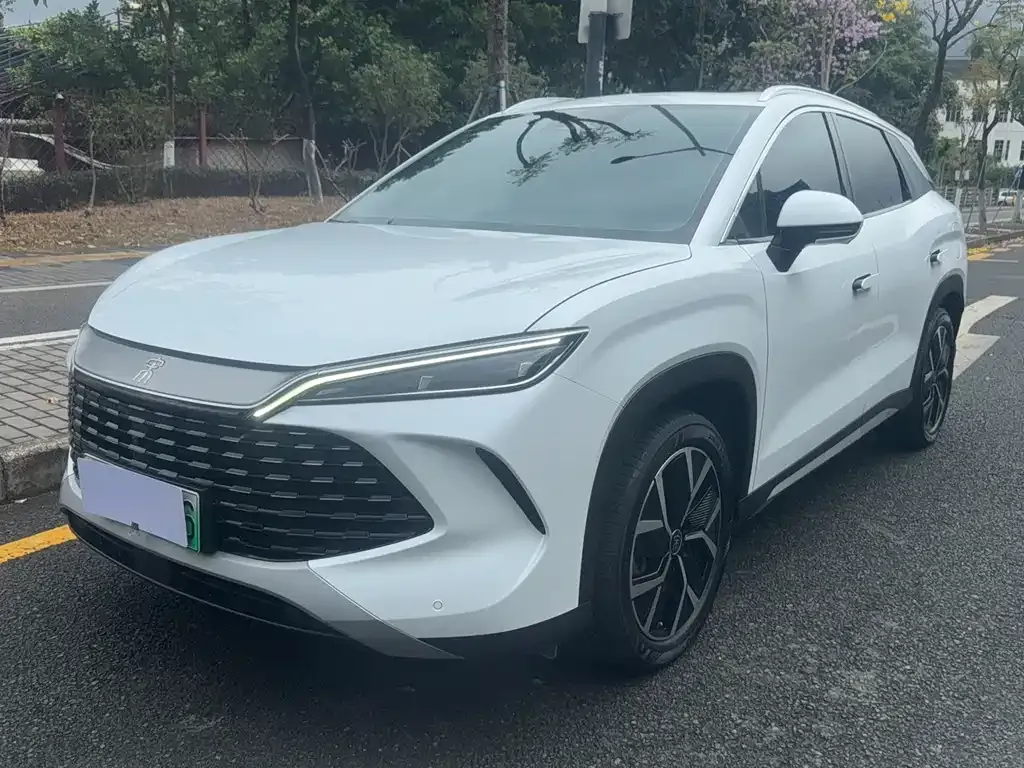 BYD L DM-i 2024 из CN, фото 1
