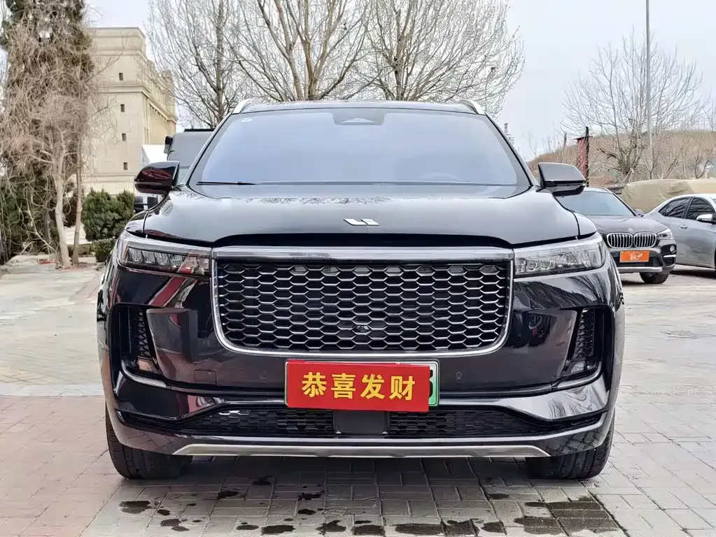 Li Auto ONE 2023 из CN, фото 9