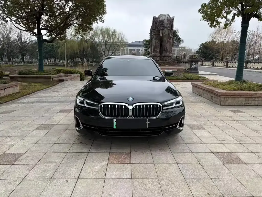 BMW 5 Series New Energy — фото 6