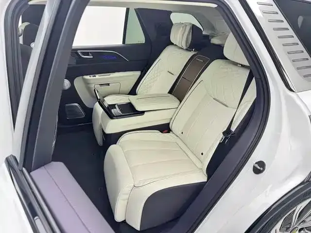 Hongqi E-HS9 — фото 10