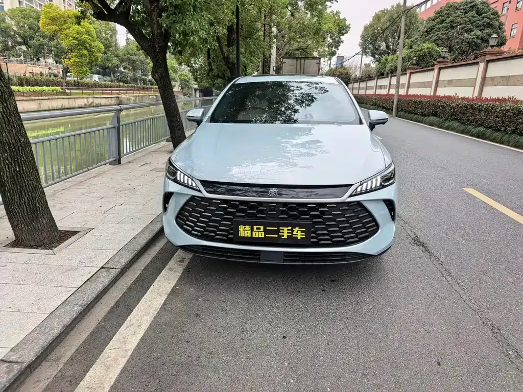 BYD Qin PLUS 2025 из CN, фото 6