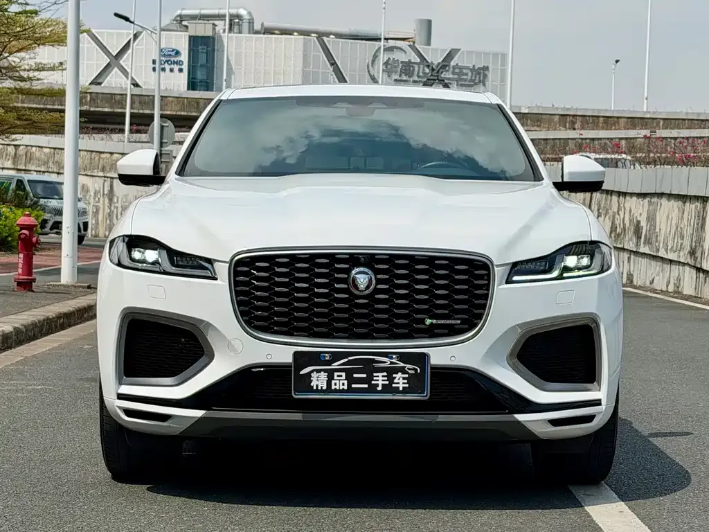 Jaguar F-PACE 2021 из CN, фото 3