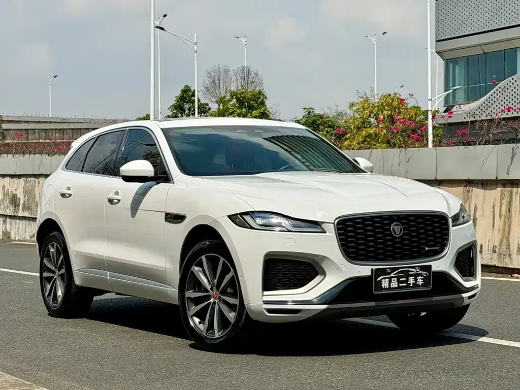 Jaguar F-PACE 2021 из CN, фото 4