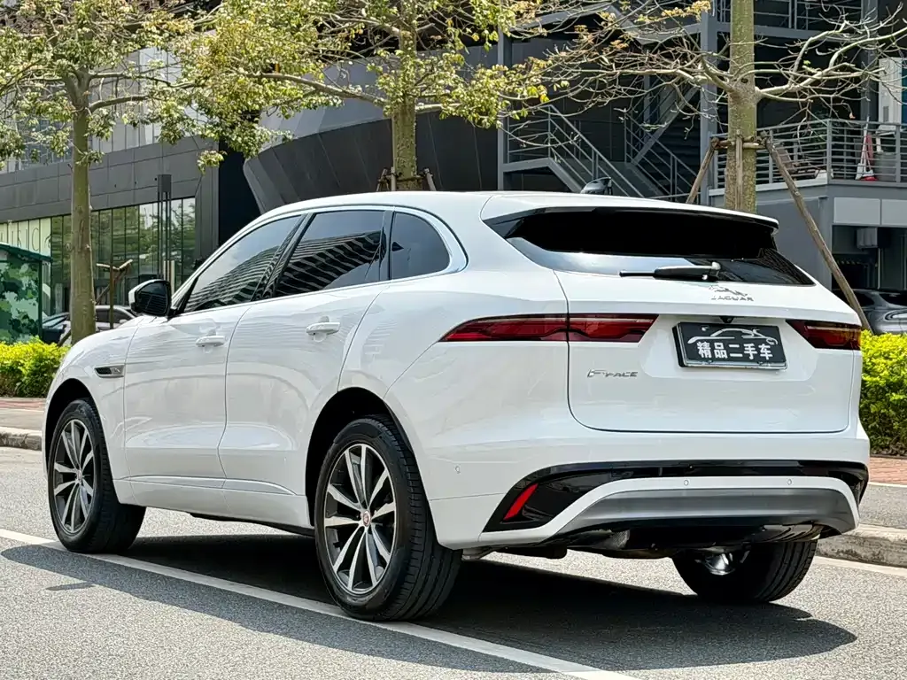 Jaguar F-PACE 2021 из CN, фото 9